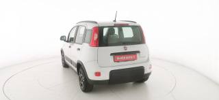 FIAT Panda usata 24