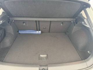 VOLKSWAGEN T-Roc usata, con Fendinebbia