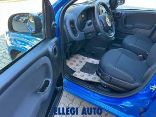 FIAT Panda usata, con Servosterzo