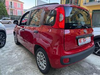 FIAT Panda usata 6