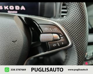 SKODA Karoq usata, con Fari LED