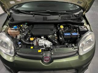 FIAT Panda usata, con Fendinebbia