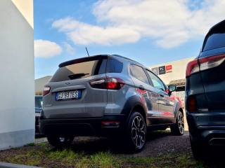 FORD EcoSport usata, con Fendinebbia