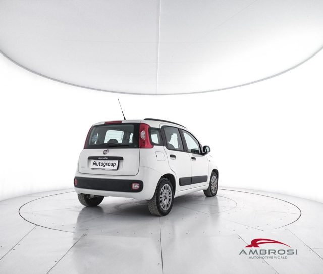 FIAT Panda usata 2