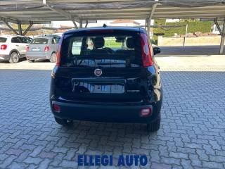 FIAT Panda usata, con Antifurto