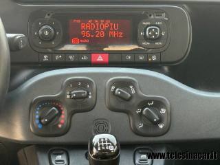 FIAT Panda usata 12