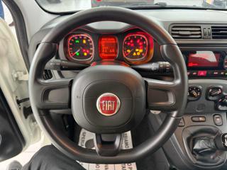 FIAT Panda usata 9