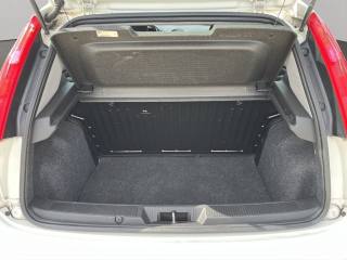 FIAT Punto usata 14
