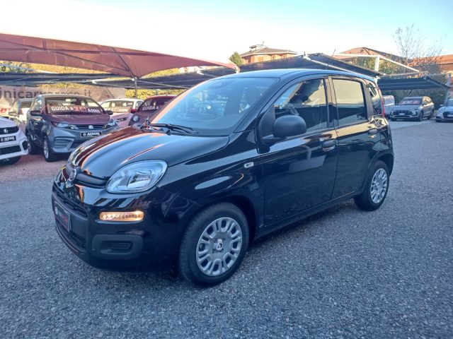 FIAT Panda usata, con Airbag Passeggero