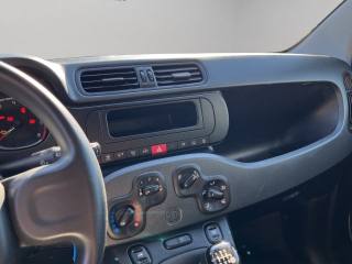 FIAT Panda usata 13