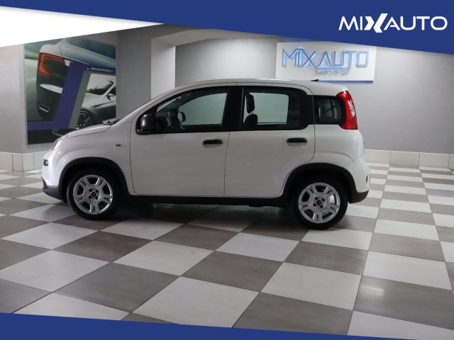 FIAT Panda usata, con Alzacristalli elettrici