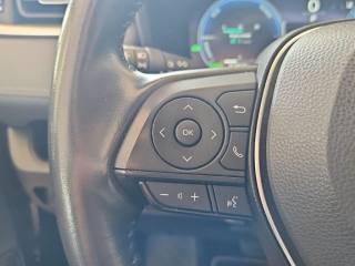 TOYOTA RAV 4 usata, con Sensore di pioggia