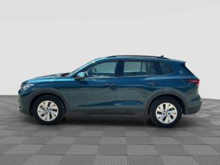 VOLKSWAGEN Tiguan usata 1