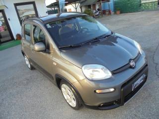 FIAT Panda usata 22