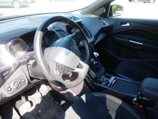 FORD Kuga usata, con Cronologia tagliandi