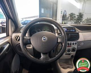 FIAT Punto usata, con Cronologia tagliandi