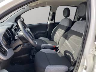 FIAT Panda usata 6