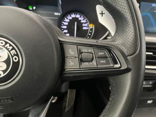 ALFA ROMEO Stelvio usata, con Fendinebbia