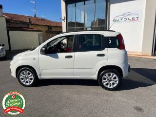 FIAT Panda usata, con Fendinebbia