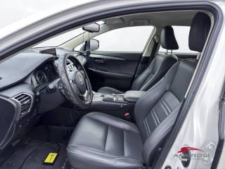 LEXUS NX 300h usata 9