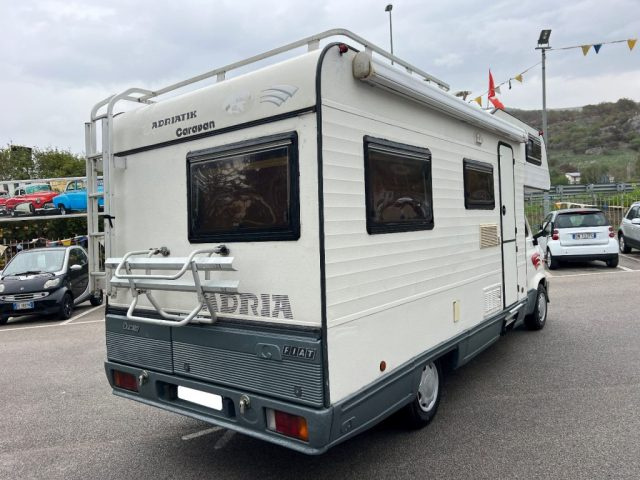 FIAT Ducato usata 3