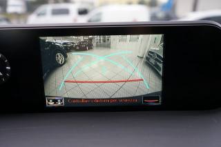 LEXUS UX 250h usata, con Immobilizzatore elettronico