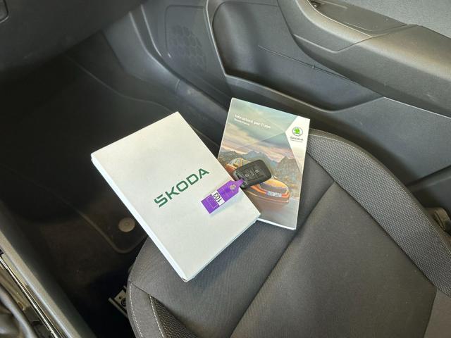 SKODA Karoq usata, con Specchietti laterali elettrici