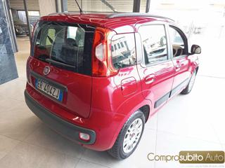 FIAT Panda usata, con Airbag Passeggero