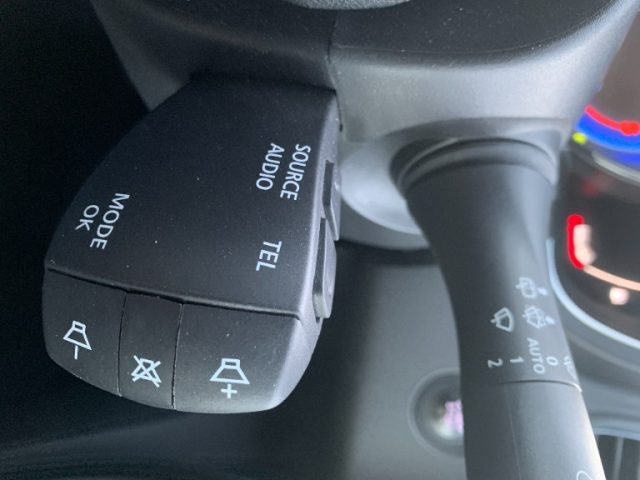 RENAULT Scenic usata, con Filtro antiparticolato