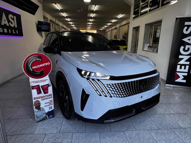 PEUGEOT 3008 usata 19