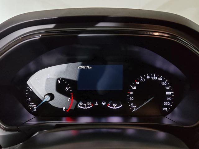 FORD Focus usata, con Cruise Control