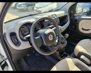 FIAT Panda usata 8