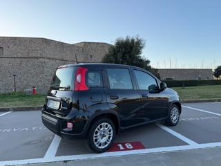 FIAT Panda usata 33
