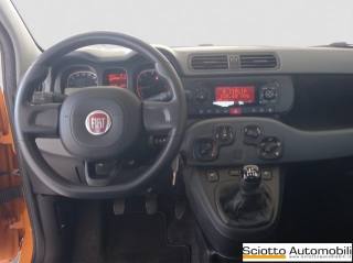 FIAT Panda usata 13