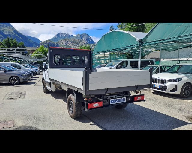 FORD Transit usata, con Fendinebbia