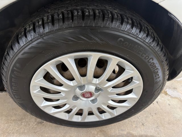 FIAT Punto usata 35