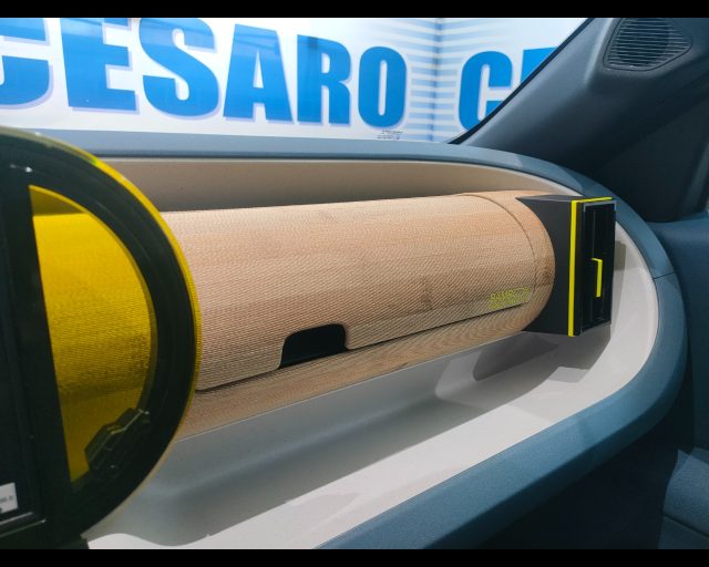 FIAT Grande Panda usata, con Portellone posteriore elettrico