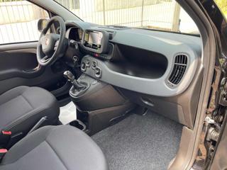 FIAT Panda usata, con Cruise Control