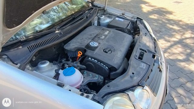 VOLKSWAGEN Polo usata 35