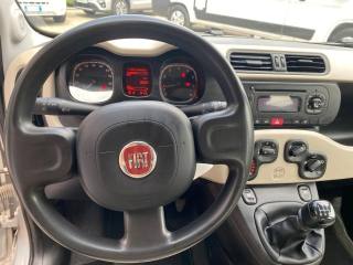 FIAT Panda usata, con Airbag testa
