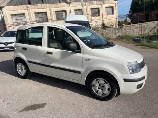 FIAT Panda usata 3