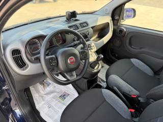 FIAT Panda usata, con Airbag testa