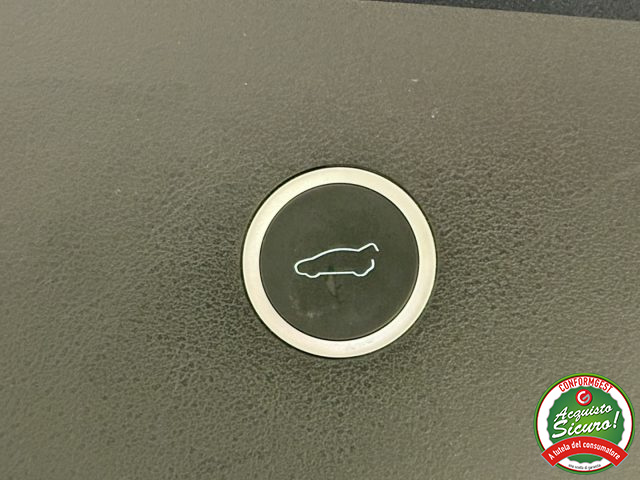 TESLA Model X usata, con Controllo vocale