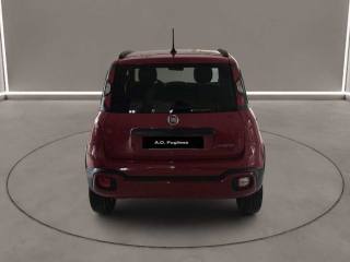 FIAT Panda Cross usata, con Antifurto
