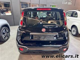 FIAT Panda Cross usata, con Airbag Passeggero