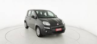 FIAT Panda usata 32