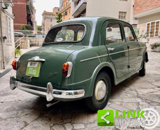 FIAT 1100 usata 6