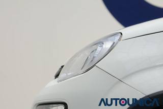 FIAT Panda usata, con Bracciolo