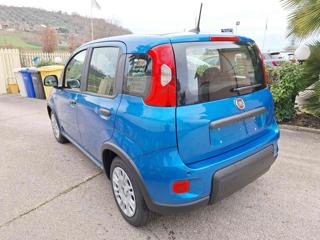 FIAT Panda usata, con Climatizzatore