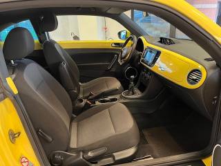 VOLKSWAGEN Maggiolino usata, con Fendinebbia